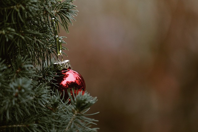 Sådan vælger du den perfekte juletræsfod til at skabe den ultimative julestemning