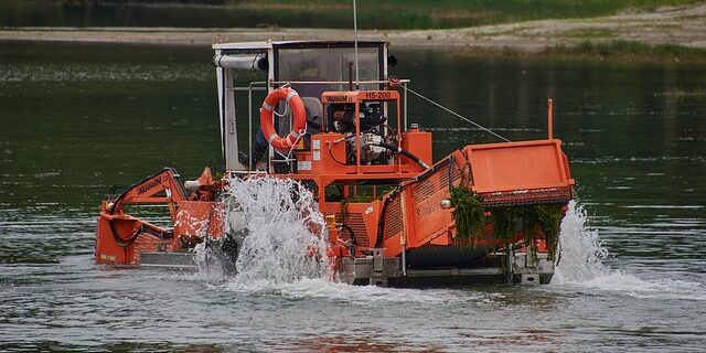 Sådan fjerner du alger effektivt fra fliser og facader