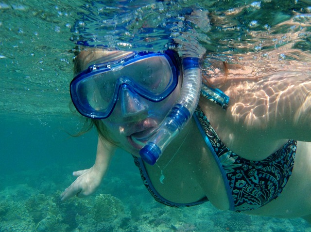Opdag den ultimative komfort med Speedo dykkerbriller